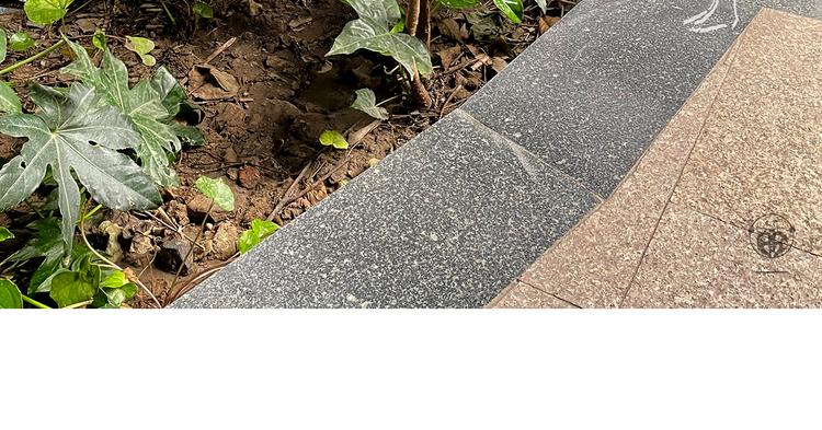 繪心一笑 - 第335話 耳朵大顯臉小嗎？ - 2