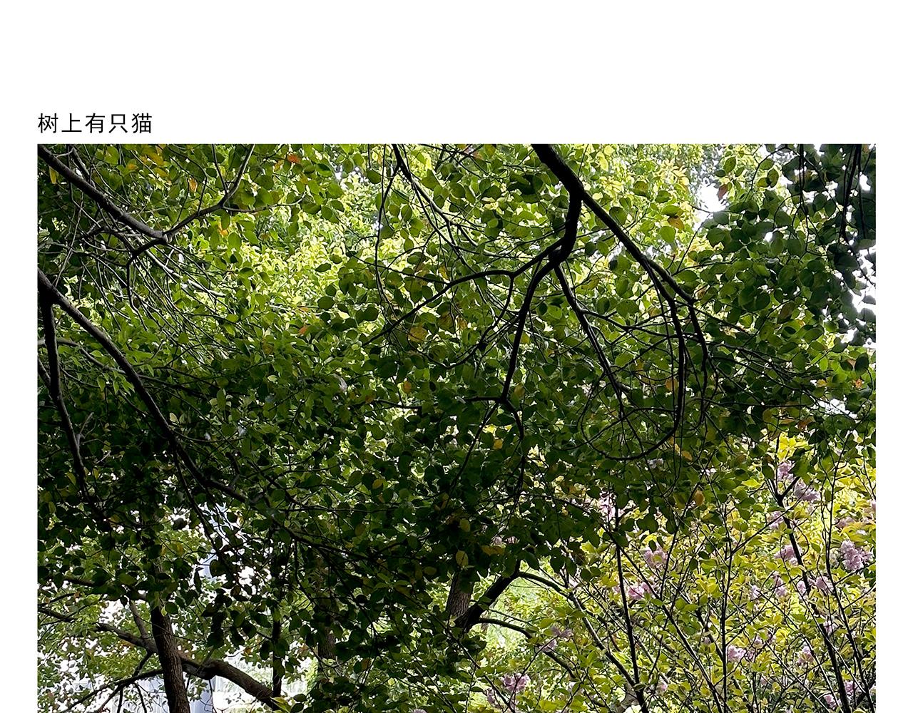 繪心一笑 - 第429話 師父熱瘋了 - 3