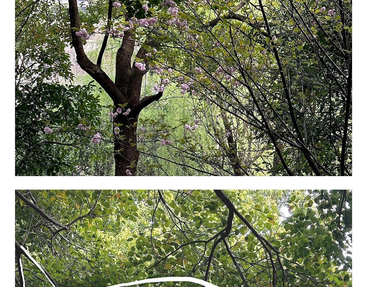 繪心一笑 - 第429話 師父熱瘋了 - 4