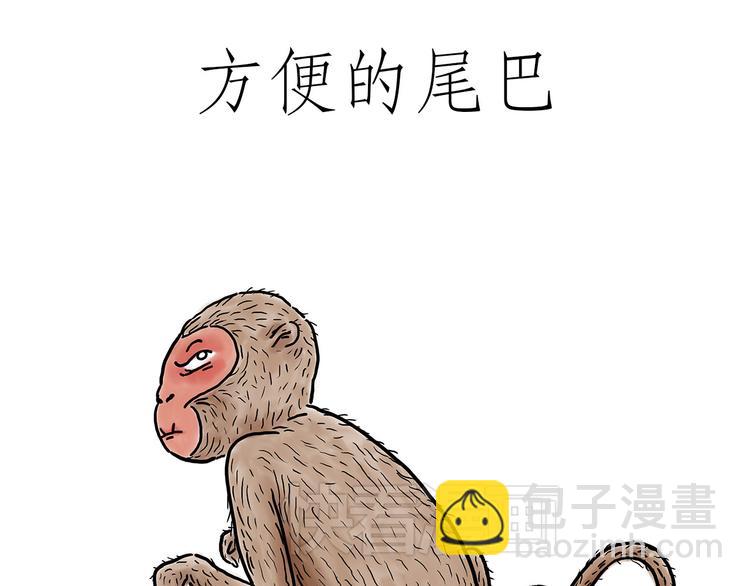 绘心一笑 - 猴的新年 - 5