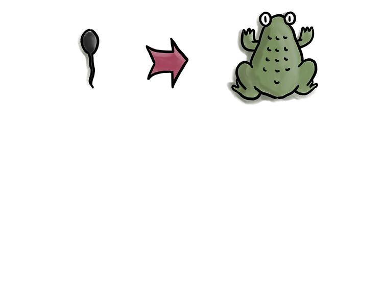 繪心一笑 - 師父看快播 - 1