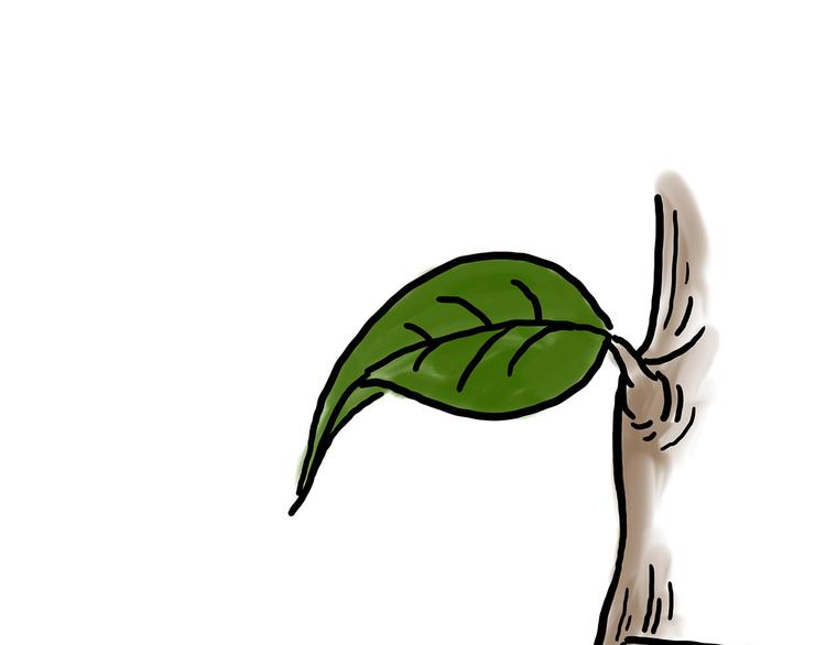 繪心一笑 - 師徒天團 - 5