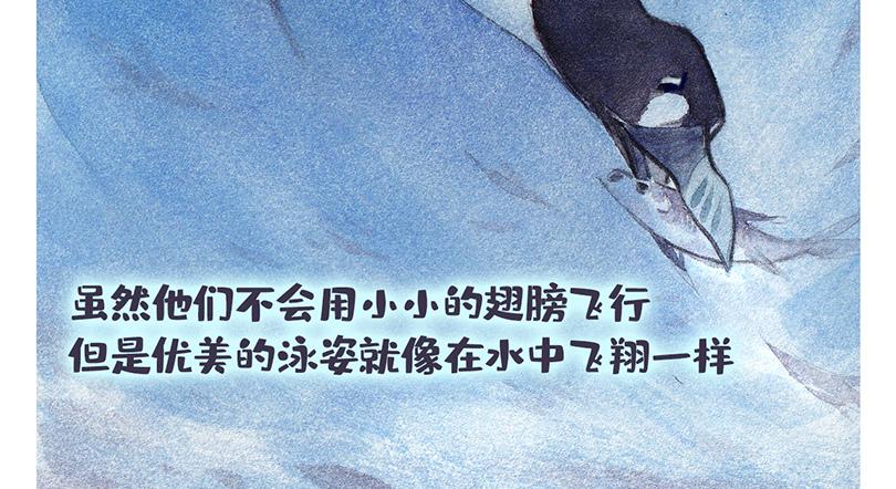 胡老师系列科普漫画 - 北极“企鹅”的故事(1/2) - 2