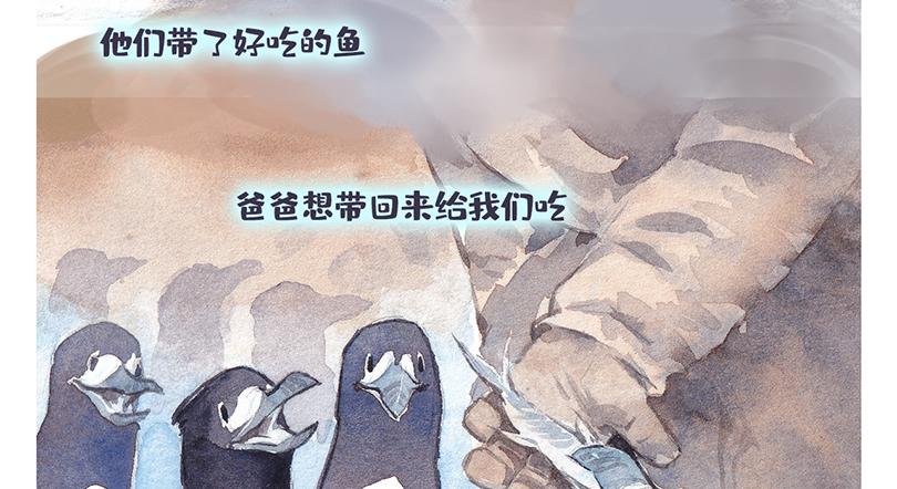 北极“企鹅”的故事29