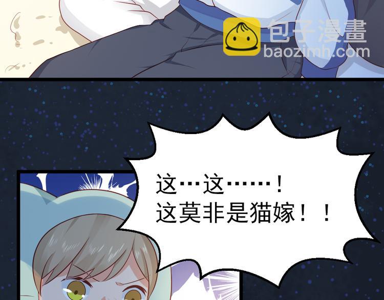 第11话  白夭夭中了猫嫁！！(1/2)-第11话