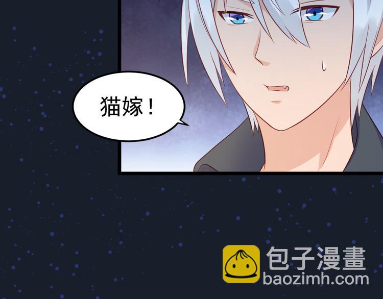 第11话  白夭夭中了猫嫁！！(1/2)-第11话