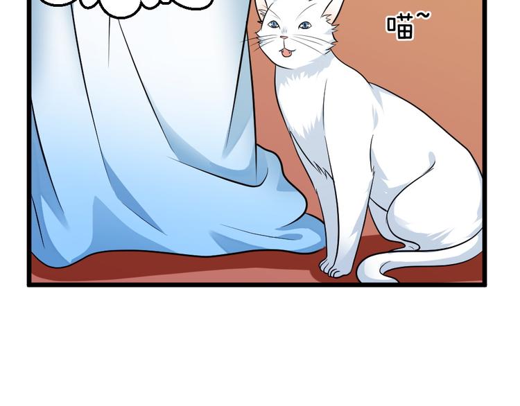 第17话 黑猫的过去！(1/2)-第17话