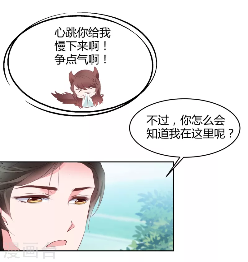 第15话 美女救狐狸-第21话