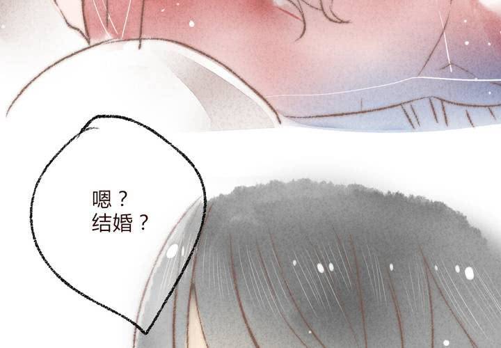 我们结婚吧(1/2)-第29话