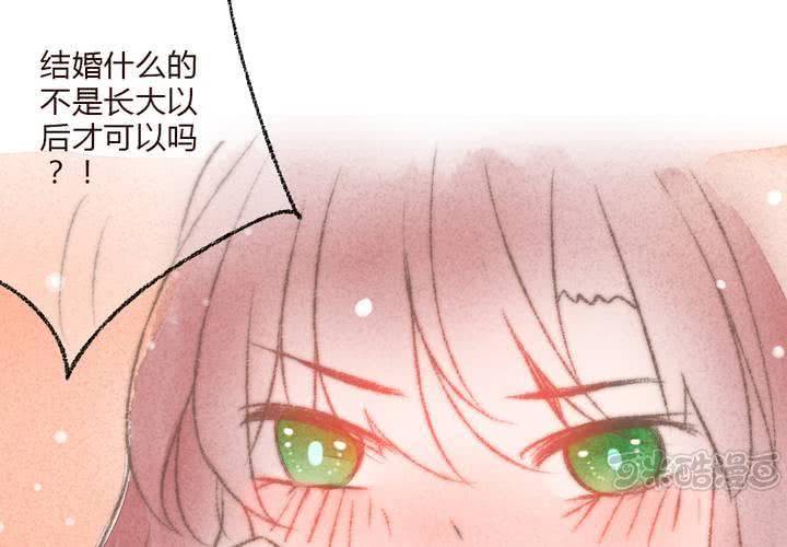 我们结婚吧(1/2)-第29话