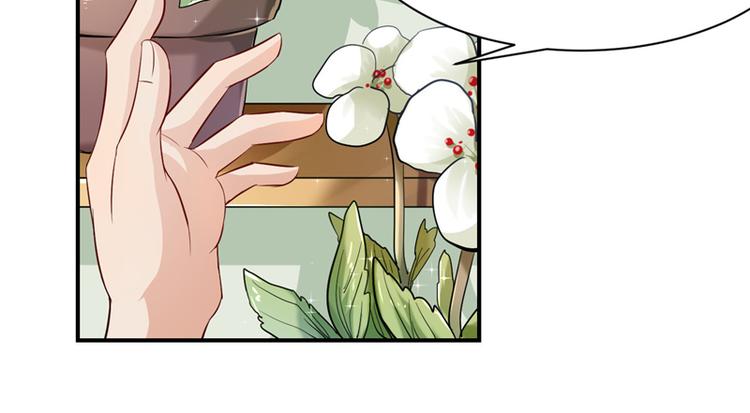 第9话(1/2)-第9话