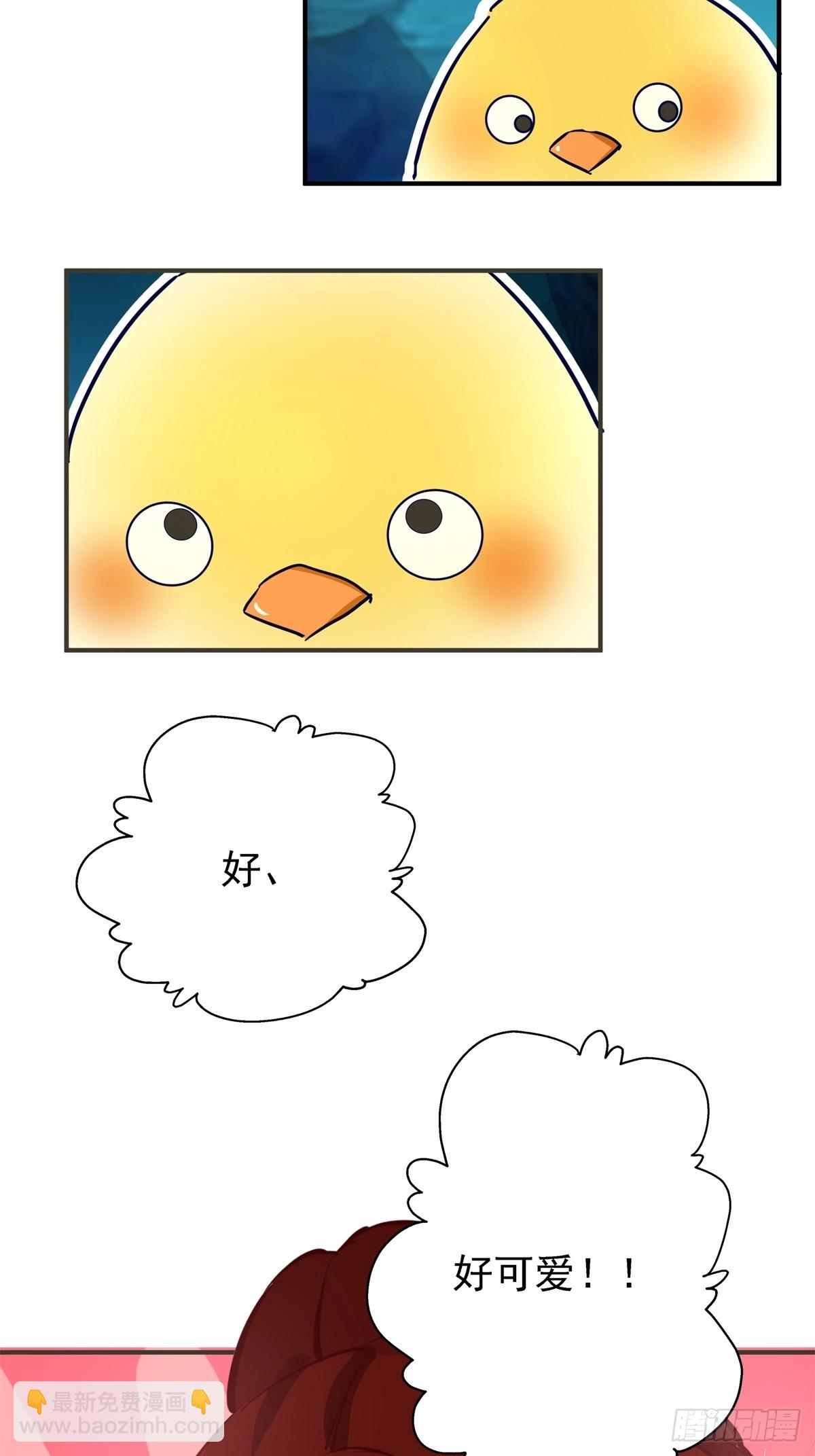 混沌丹神 - 499-風雷鳶雛鳥 - 3