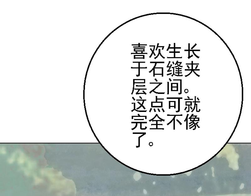 第二十五章 采集偶遇(1/2)-第25话