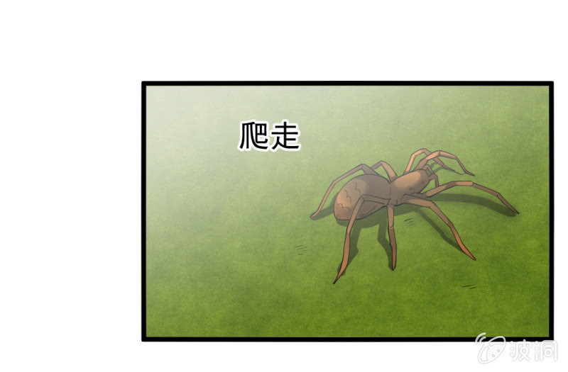 第六十一章-第61话