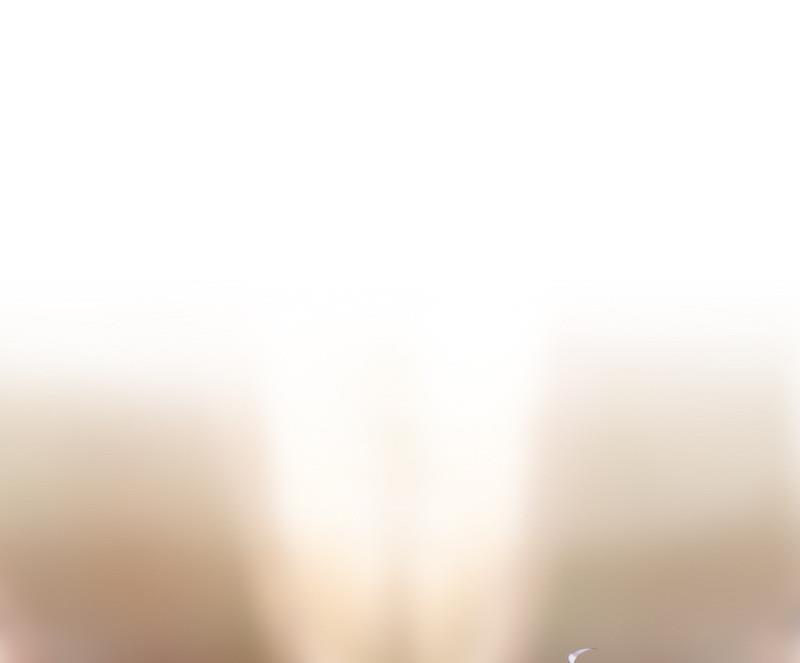 第11话 被算计(1/2)-第11话