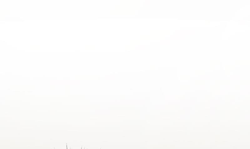 第23话 安浅浅的妥协(1/2)-第23话