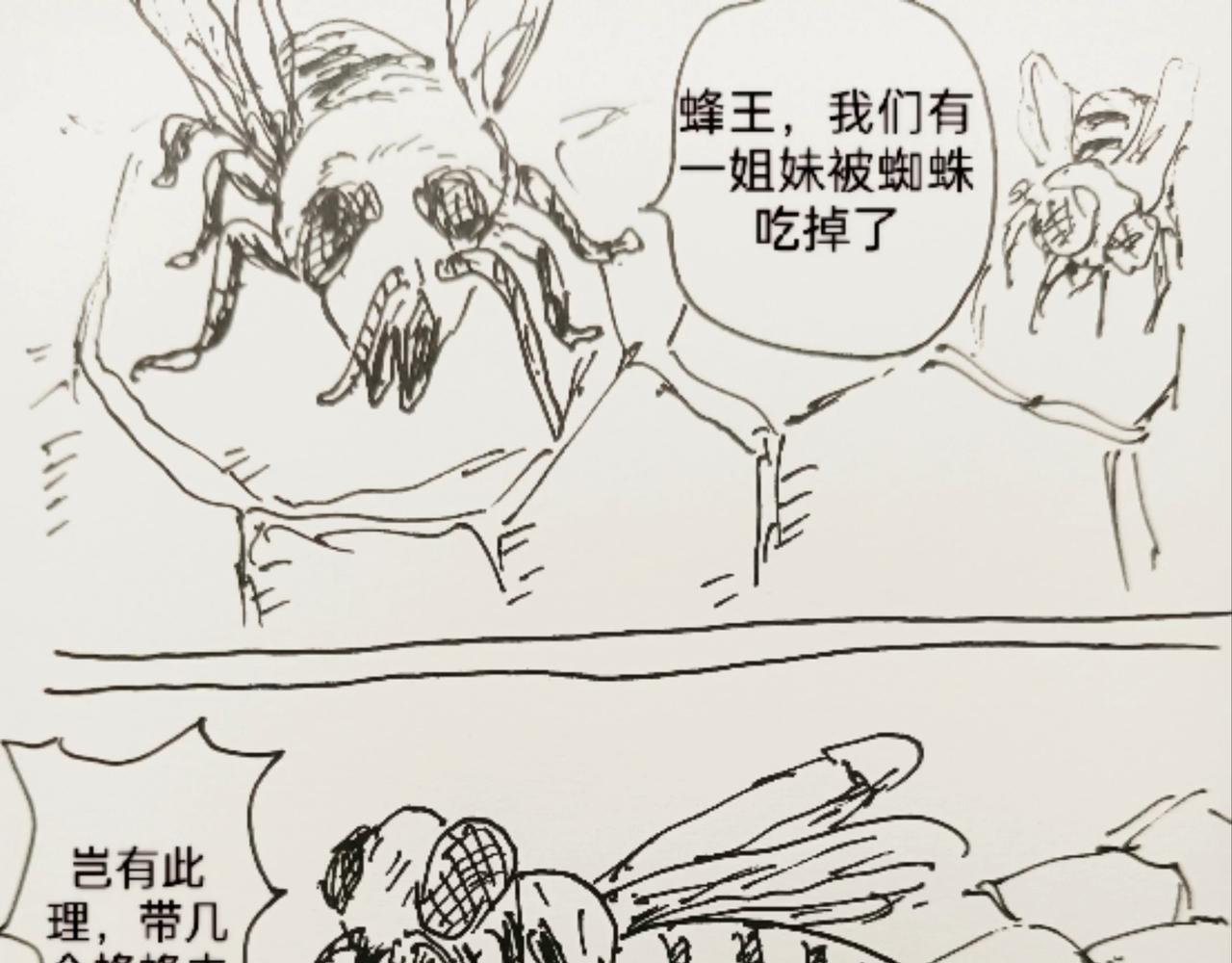 蜘蛛想拥有一双翅膀-第11话