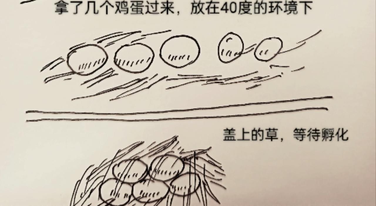 蜘蛛想拥有一双翅膀-第11话