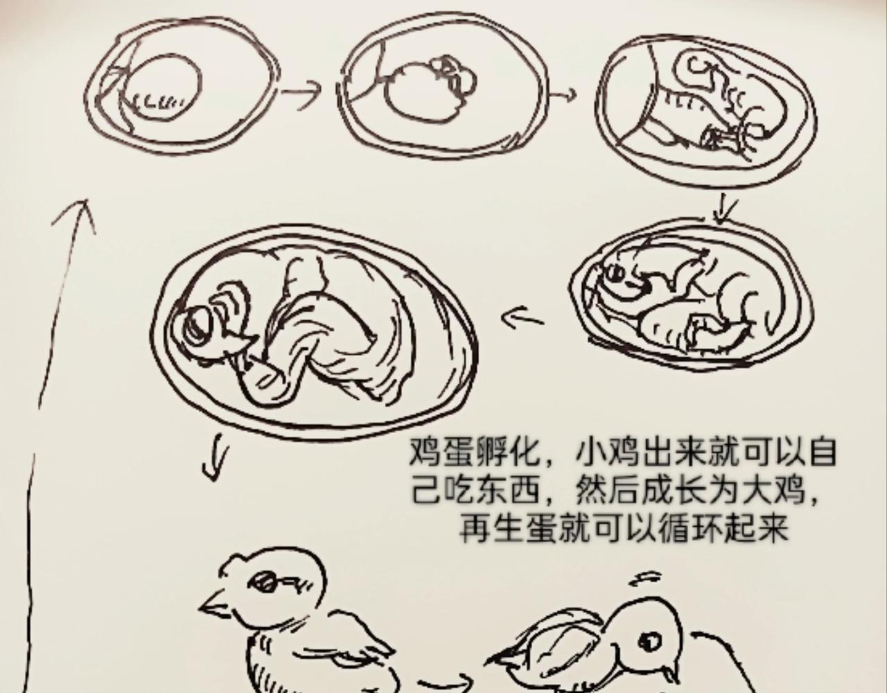 蜘蛛想拥有一双翅膀-第11话