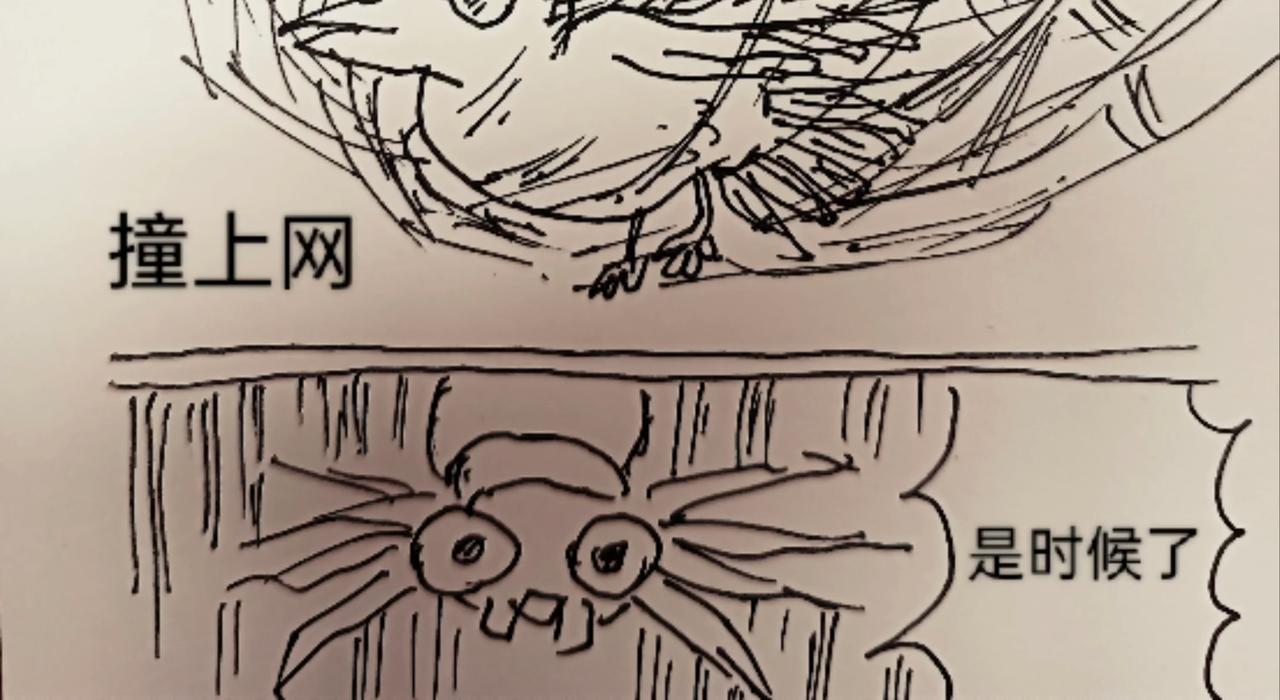 蜘蛛想拥有一双翅膀-第11话