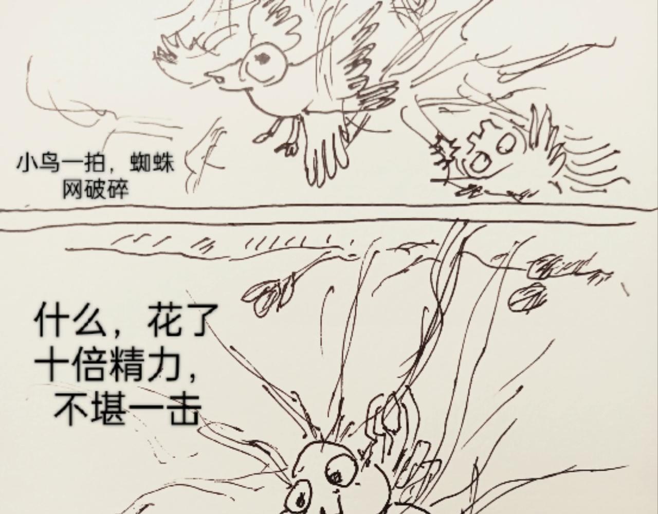 蜘蛛想拥有一双翅膀-第11话