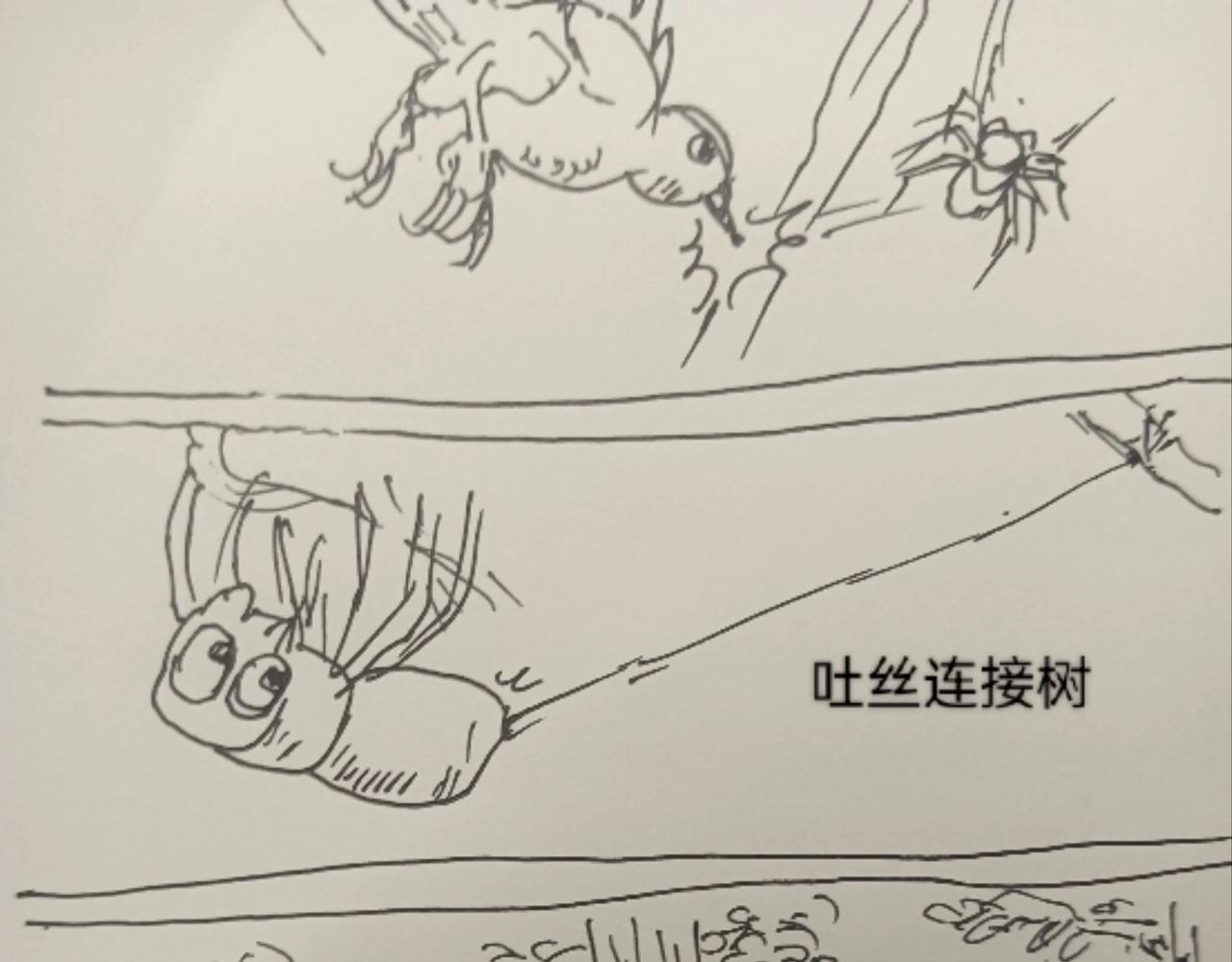 蜘蛛想拥有一双翅膀-第11话