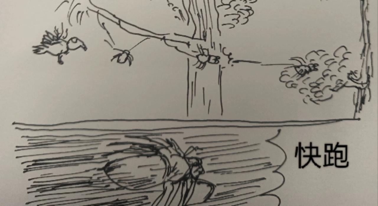 蜘蛛想拥有一双翅膀-第11话