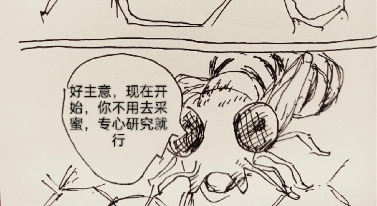 蜘蛛想拥有一双翅膀-第11话