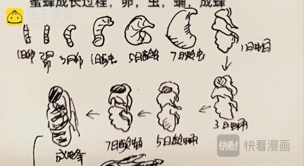 蜘蛛想拥有一双翅膀-第11话