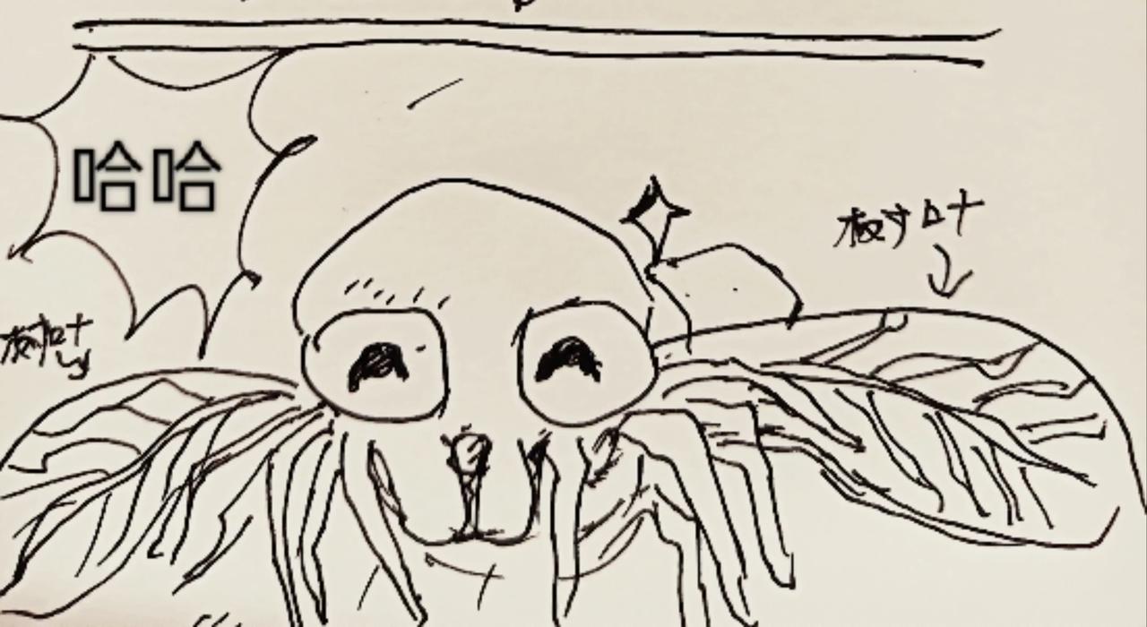 蜘蛛想拥有一双翅膀-第11话