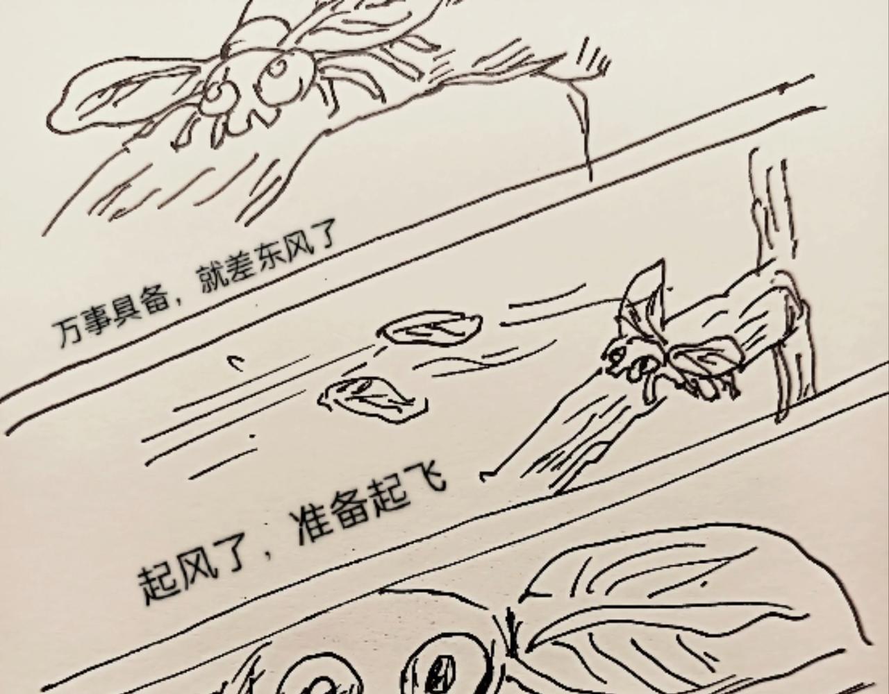 蜘蛛想拥有一双翅膀-第11话