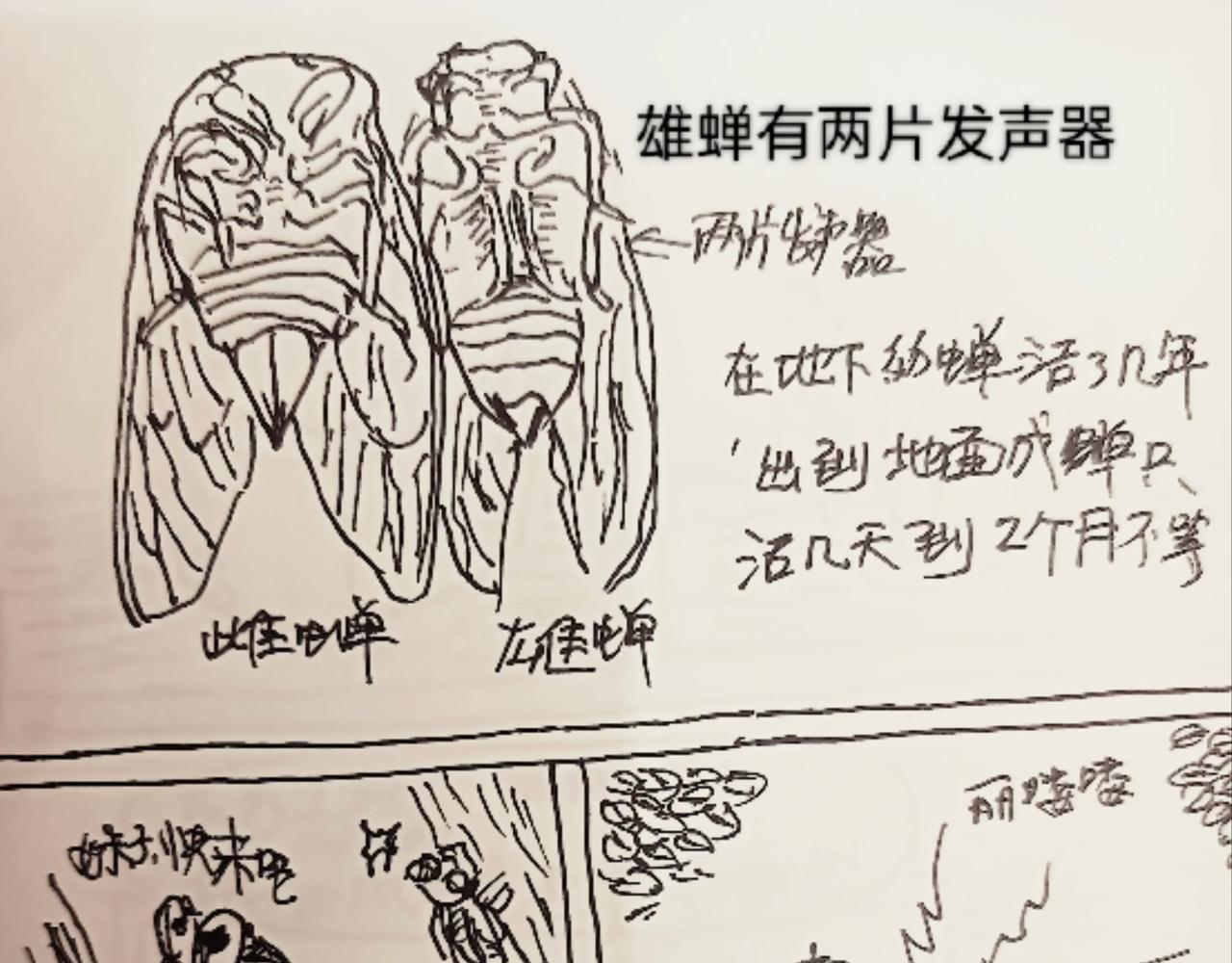 发声器就是求爱利器-第13话