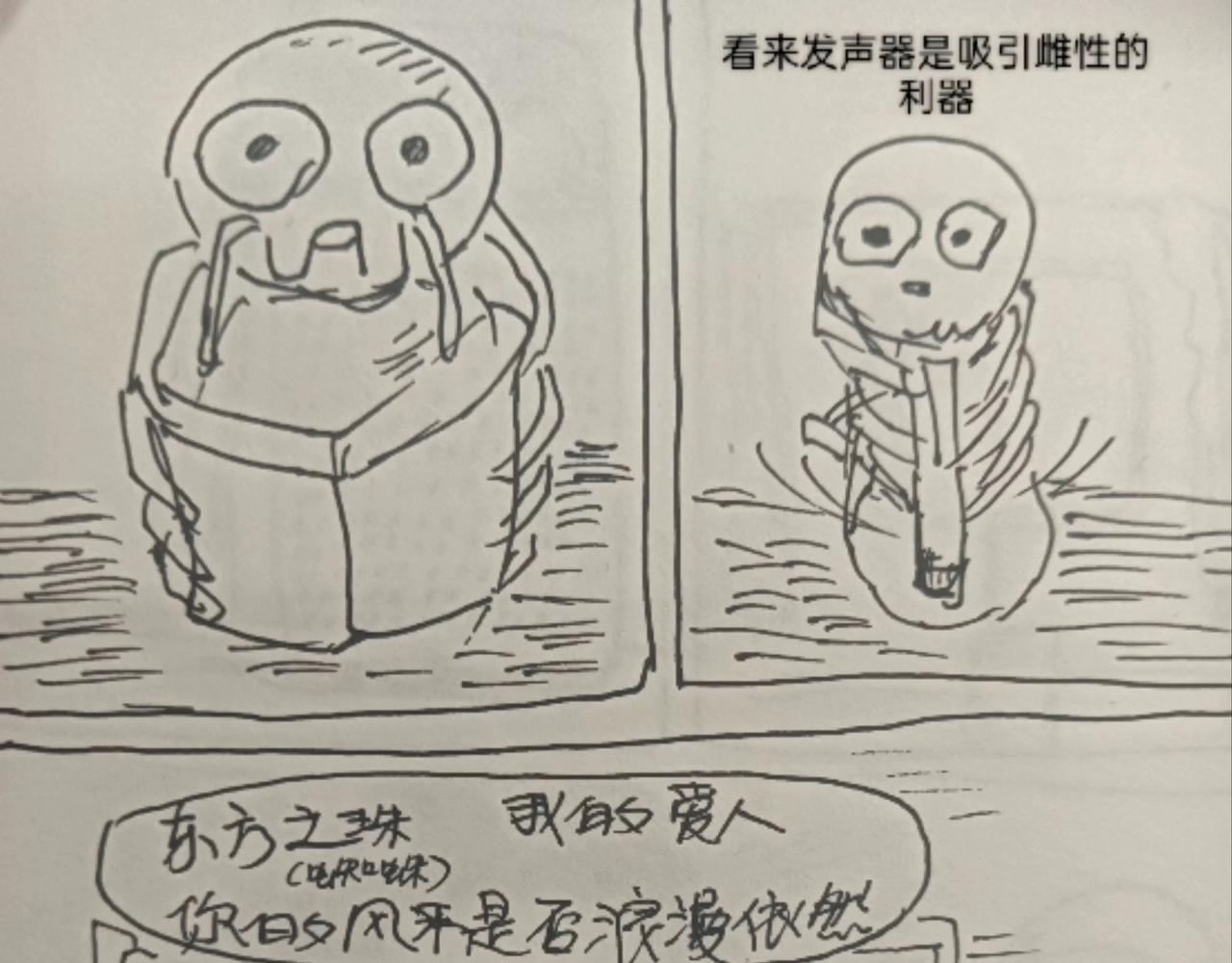 发声器就是求爱利器-第13话