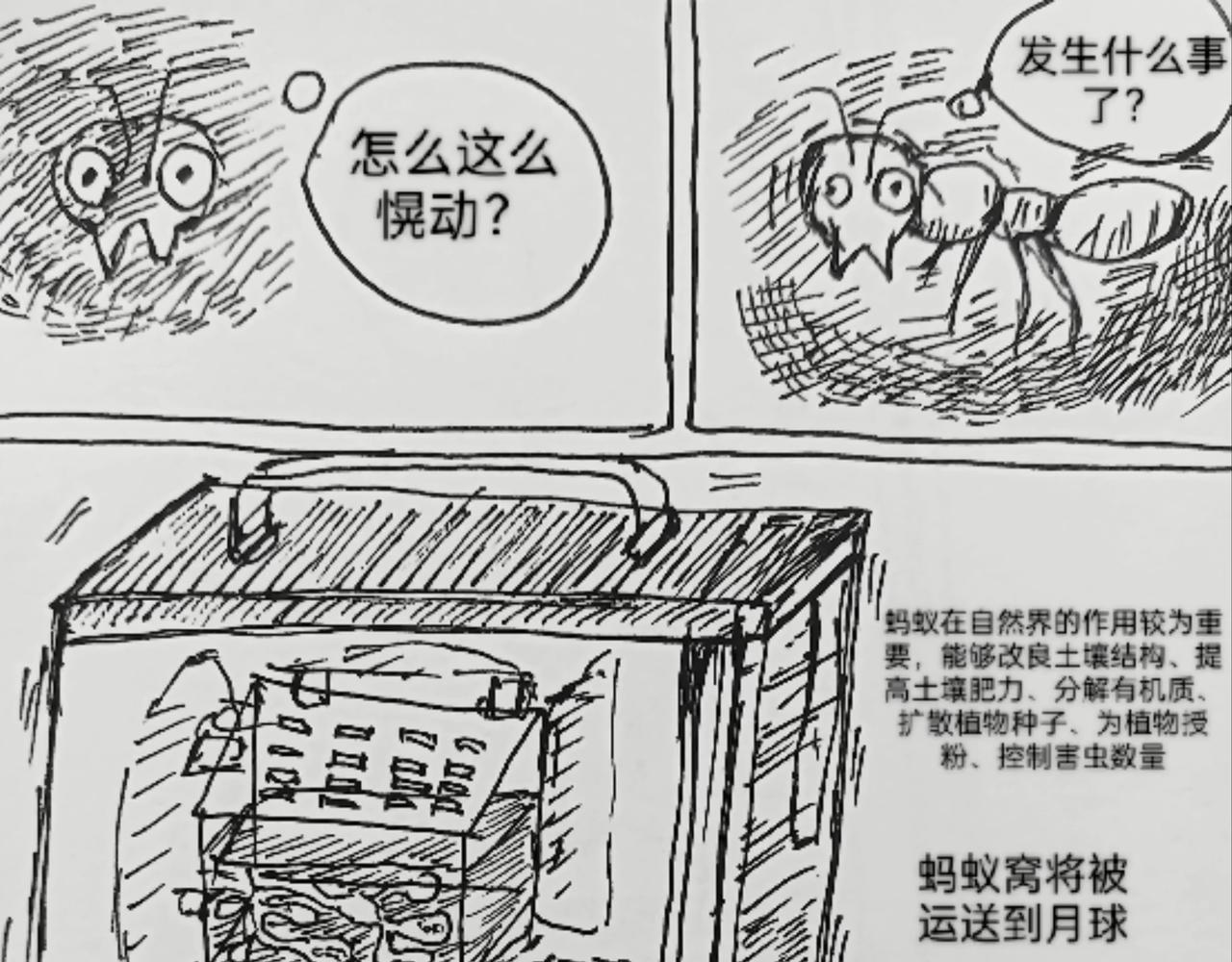 蚂蚁被送到月球-第25话