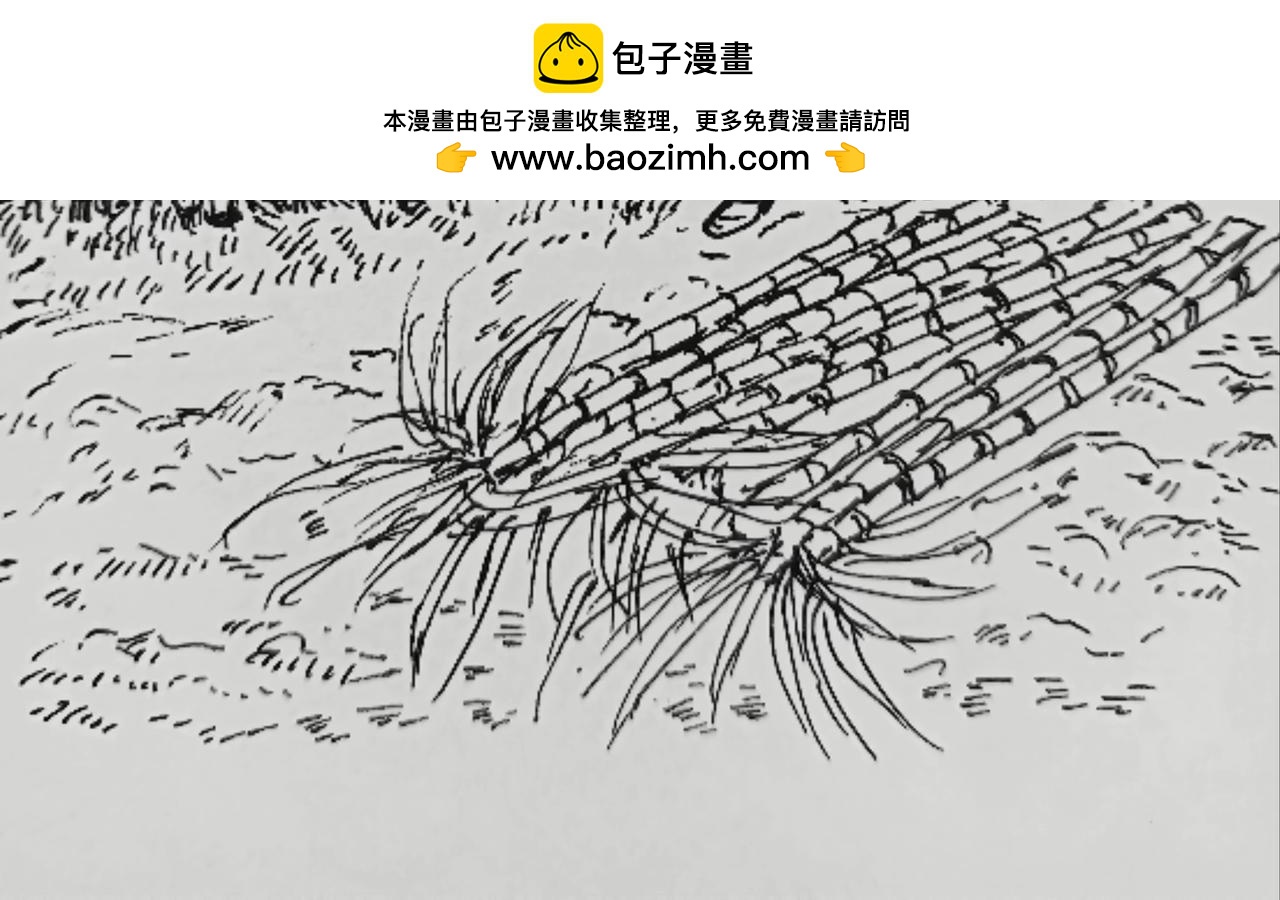 蚂蚁被送到月球-第25话