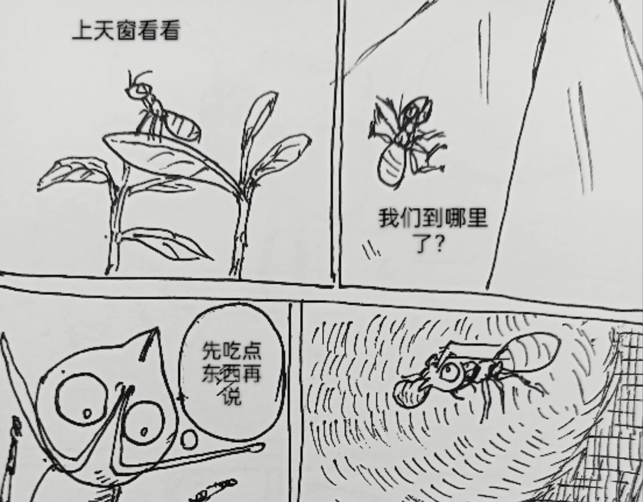 蚂蚁被送到月球-第25话