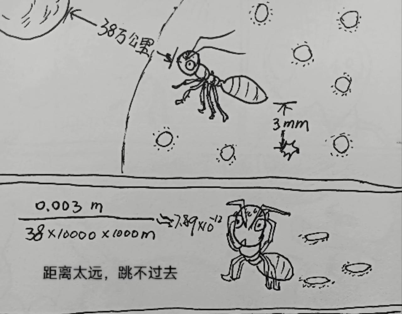 蚂蚁被送到月球-第25话