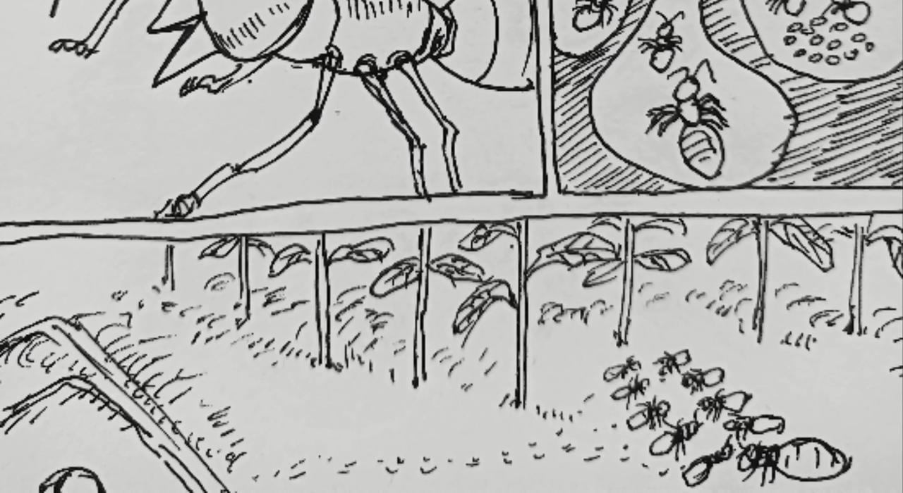 蚂蚁被送到月球-第25话