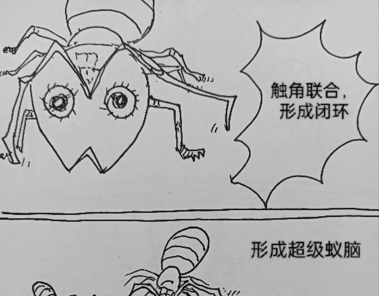 蚂蚁被送到月球-第25话