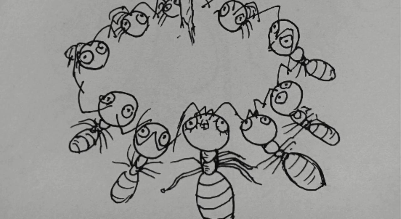 蚂蚁被送到月球-第25话