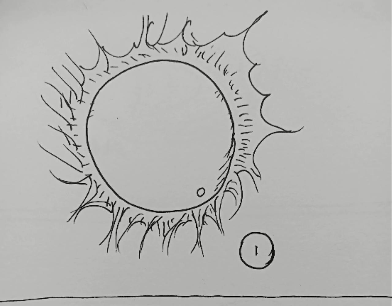 火种传说-第27话
