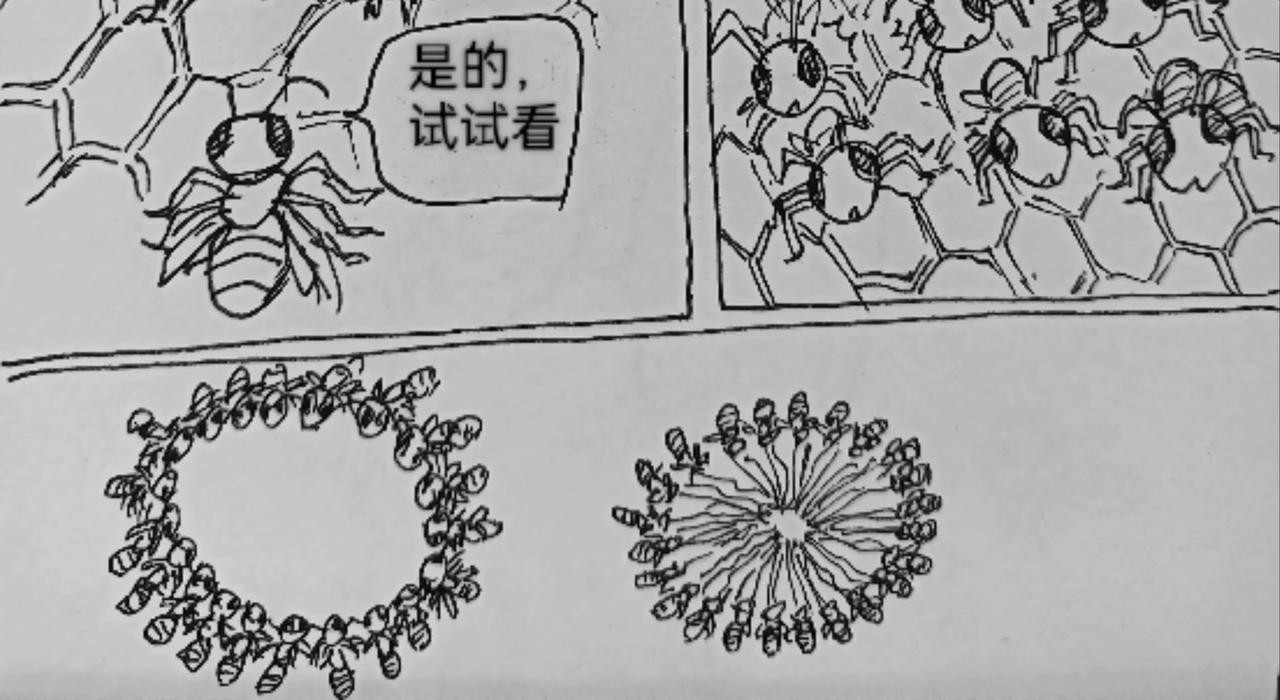 火种传说-第27话