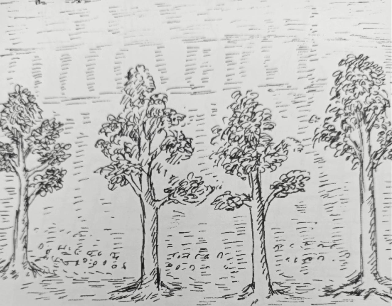 回城之前-第7话