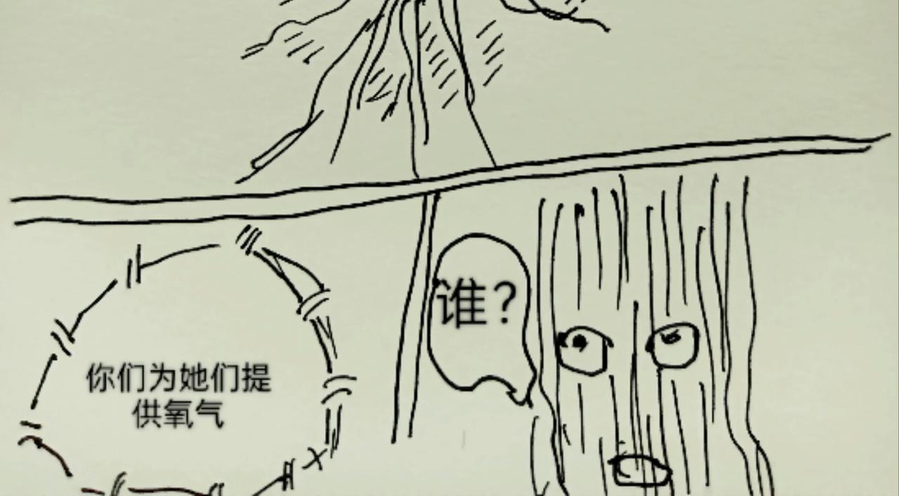 树的思考-第9话