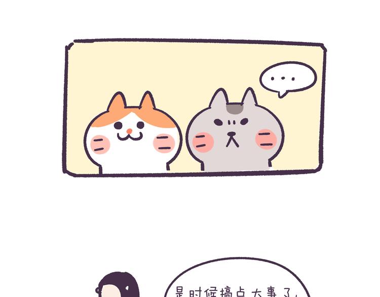 挑战好奇心大作战-第31话