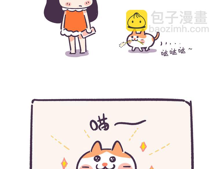 挑战好奇心大作战-第31话