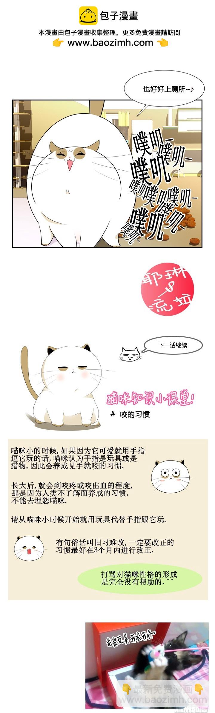 第四十一话-第41话