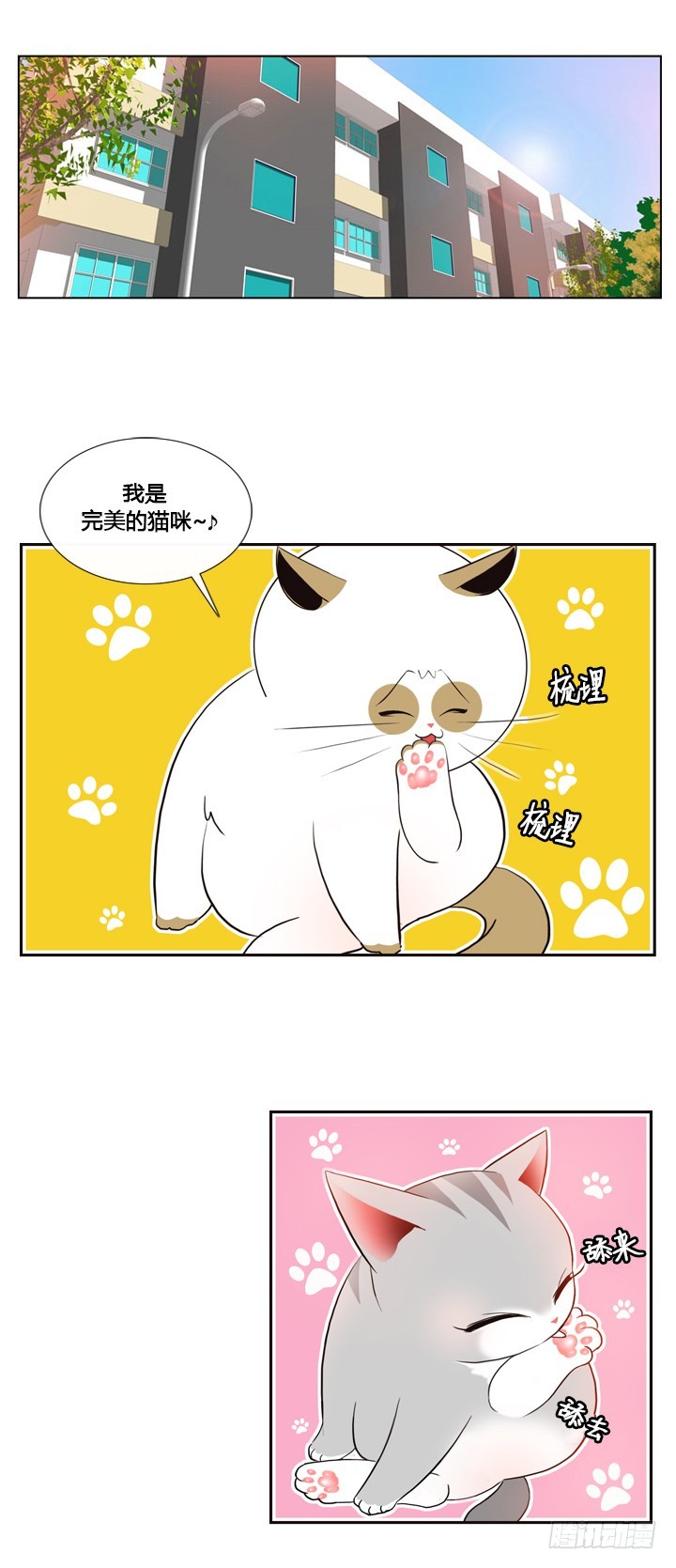 第四十一话-第41话