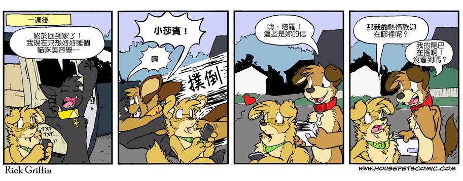 家寵 - 第891話 - 1