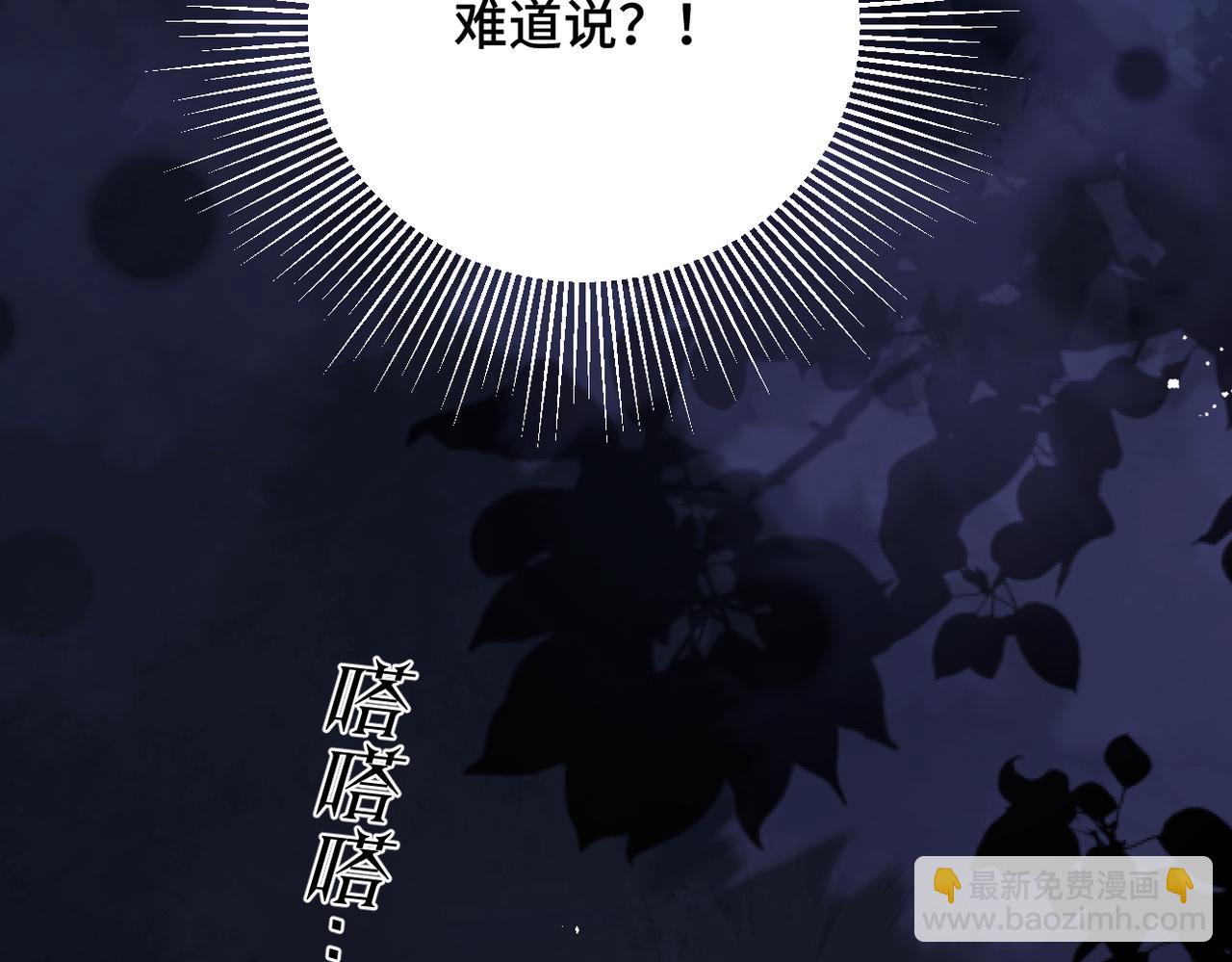 第27话 小姐我来了(1/3)-第81话